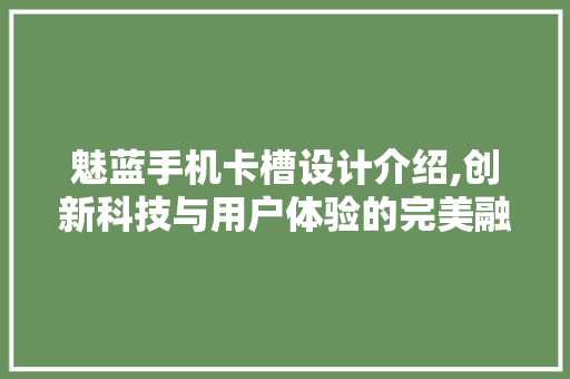 魅蓝手机卡槽设计介绍,创新科技与用户体验的完美融合 操作系统