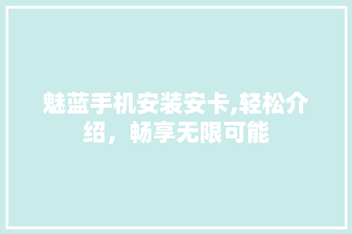 魅蓝手机安装安卡,轻松介绍，畅享无限可能 电脑故障维修