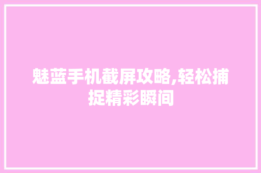 魅蓝手机截屏攻略,轻松捕捉精彩瞬间 电脑基础 魅蓝手机截屏攻略,轻松捕捉精彩瞬间 电脑基础