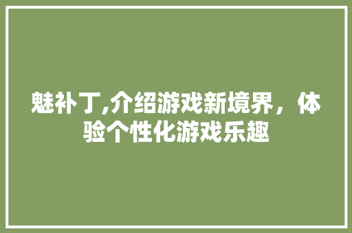 魅补丁,介绍游戏新境界,体验个性化游戏乐趣 编程语言 魅补丁,介绍游戏新境界,体验个性化游戏乐趣 编程语言