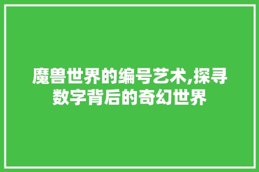 魔兽世界的编号艺术,探寻数字背后的奇幻世界 电脑配置