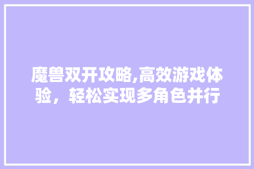 魔兽双开攻略,高效游戏体验，轻松实现多角色并行 网络技术