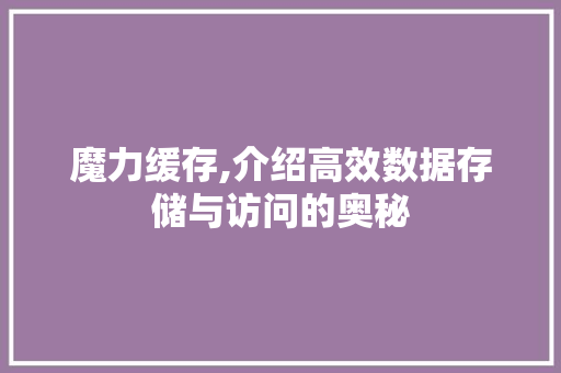 魔力缓存,介绍高效数据存储与访问的奥秘