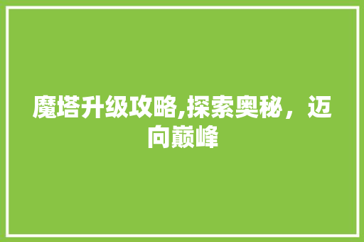 魔塔升级攻略,探索奥秘，迈向巅峰 电脑配置