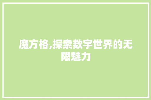 魔方格,探索数字世界的无限魅力 电脑配置