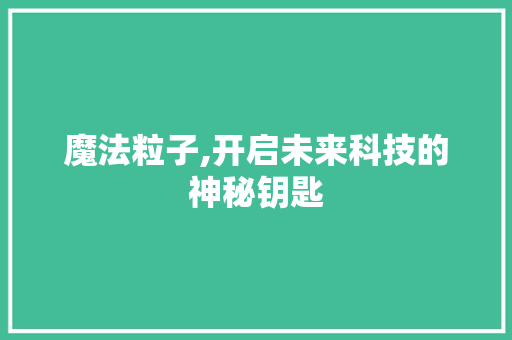 魔法粒子,开启未来科技的神秘钥匙 电脑配置