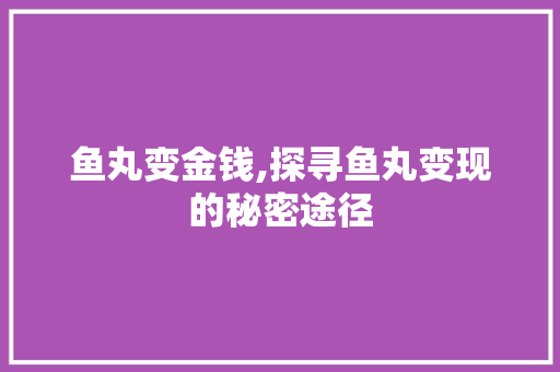 鱼丸变金钱,探寻鱼丸变现的秘密途径