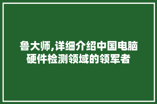 鲁大师,详细介绍中国电脑硬件检测领域的领军者 电脑基础