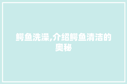 鳄鱼洗澡,介绍鳄鱼清洁的奥秘 编程语言