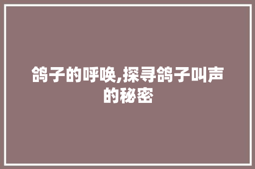 鸽子的呼唤,探寻鸽子叫声的秘密 电脑配置