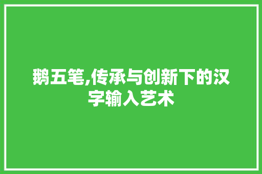 鹅五笔,传承与创新下的汉字输入艺术