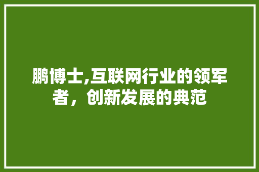 鹏博士,互联网行业的领军者，创新发展的典范 电脑配置