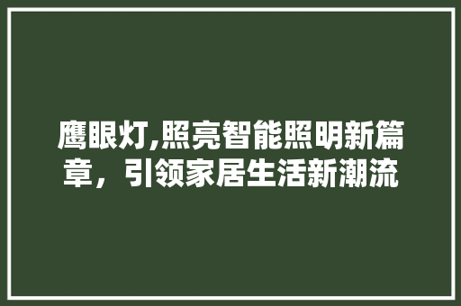 鹰眼灯,照亮智能照明新篇章，引领家居生活新潮流 编程语言