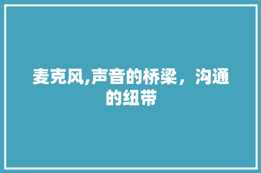 麦克风,声音的桥梁，沟通的纽带 电脑故障维修