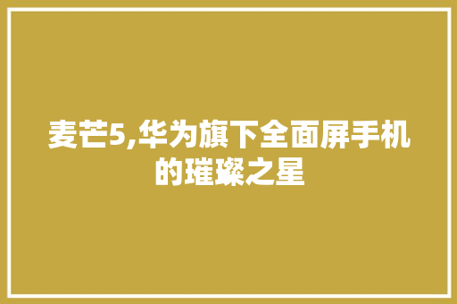 麦芒5,华为旗下全面屏手机的璀璨之星 电脑配置