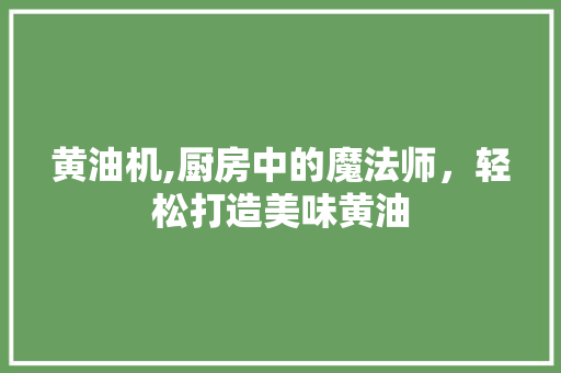黄油机,厨房中的魔法师，轻松打造美味黄油 网络技术