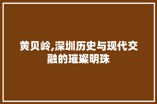 黄贝岭,深圳历史与现代交融的璀璨明珠 网络技术 黄贝岭,深圳历史与现代交融的璀璨明珠 网络技术