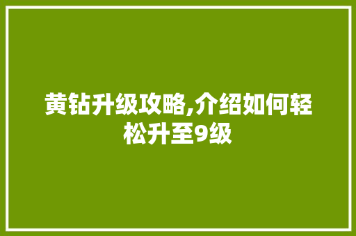 黄钻升级攻略,介绍如何轻松升至9级 网络技术