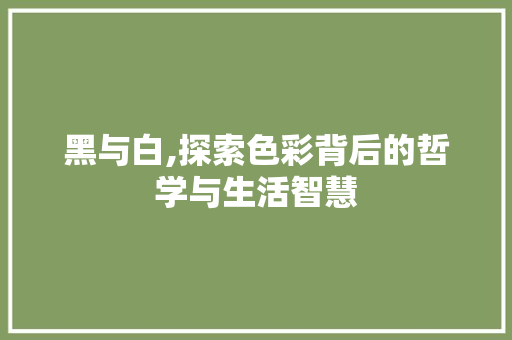 黑与白,探索色彩背后的哲学与生活智慧 网络技术