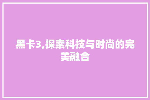 黑卡3,探索科技与时尚的完美融合 电脑故障维修