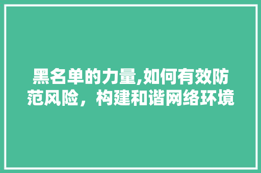 黑名单的力量,如何有效防范风险，构建和谐网络环境 操作系统