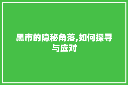 黑市的隐秘角落,如何探寻与应对 电脑配置
