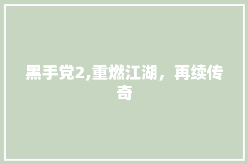 黑手党2,重燃江湖，再续传奇