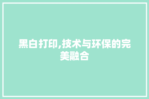 黑白打印,技术与环保的完美融合 电脑故障维修