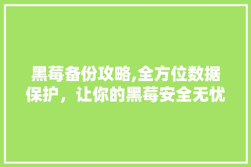黑莓备份攻略,全方位数据保护，让你的黑莓安全无忧