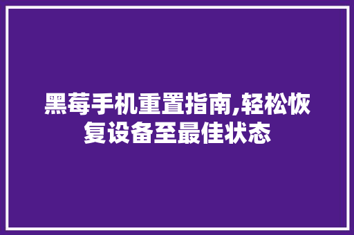 黑莓手机重置指南,轻松恢复设备至最佳状态