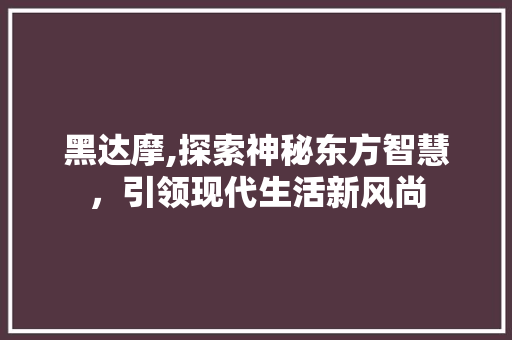 黑达摩,探索神秘东方智慧，引领现代生活新风尚
