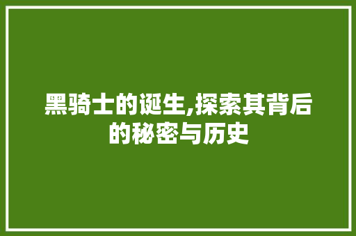 黑骑士的诞生,探索其背后的秘密与历史 网络技术