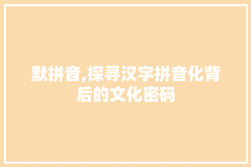 默拼音,探寻汉字拼音化背后的文化密码 编程语言