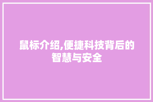 鼠标介绍,便捷科技背后的智慧与安全