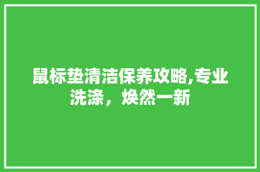 鼠标垫清洁保养攻略,专业洗涤，焕然一新 编程语言