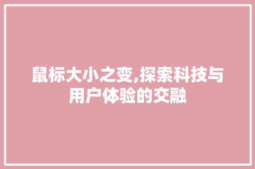 鼠标大小之变,探索科技与用户体验的交融