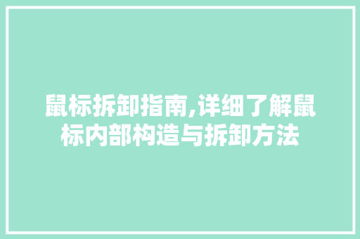 鼠标拆卸指南,详细了解鼠标内部构造与拆卸方法 操作系统