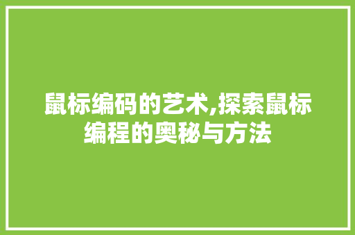 鼠标编码的艺术,探索鼠标编程的奥秘与方法 电脑配置
