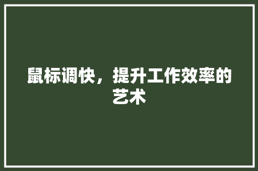 鼠标调快，提升工作效率的艺术