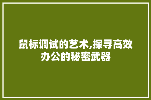 鼠标调试的艺术,探寻高效办公的秘密武器 网络技术