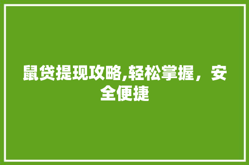 鼠贷提现攻略,轻松掌握，安全便捷