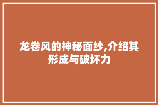 龙卷风的神秘面纱,介绍其形成与破坏力 电脑配置