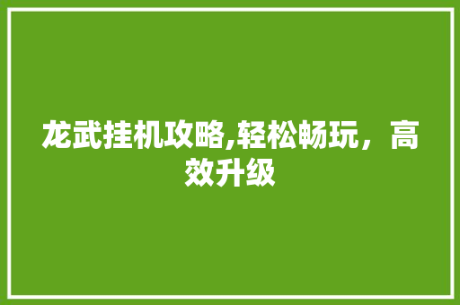 龙武挂机攻略,轻松畅玩，高效升级 电脑基础