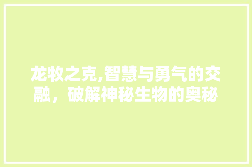 龙牧之克,智慧与勇气的交融，破解神秘生物的奥秘 电脑配置