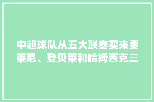 中超球队从五大联赛买来费莱尼、登贝莱和哈姆西克三大中场，现在看这3笔买卖值吗_前锋电脑配置参数怎么看的 网络技术