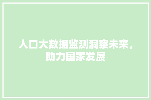 人口大数据监测洞察未来，助力国家发展