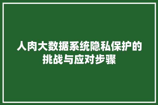 人肉大数据系统隐私保护的挑战与应对步骤 电脑基础