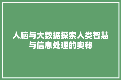 人脑与大数据探索人类智慧与信息处理的奥秘
