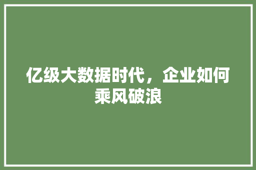 亿级大数据时代，企业如何乘风破浪 电脑基础