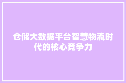 仓储大数据平台智慧物流时代的核心竞争力 电脑基础